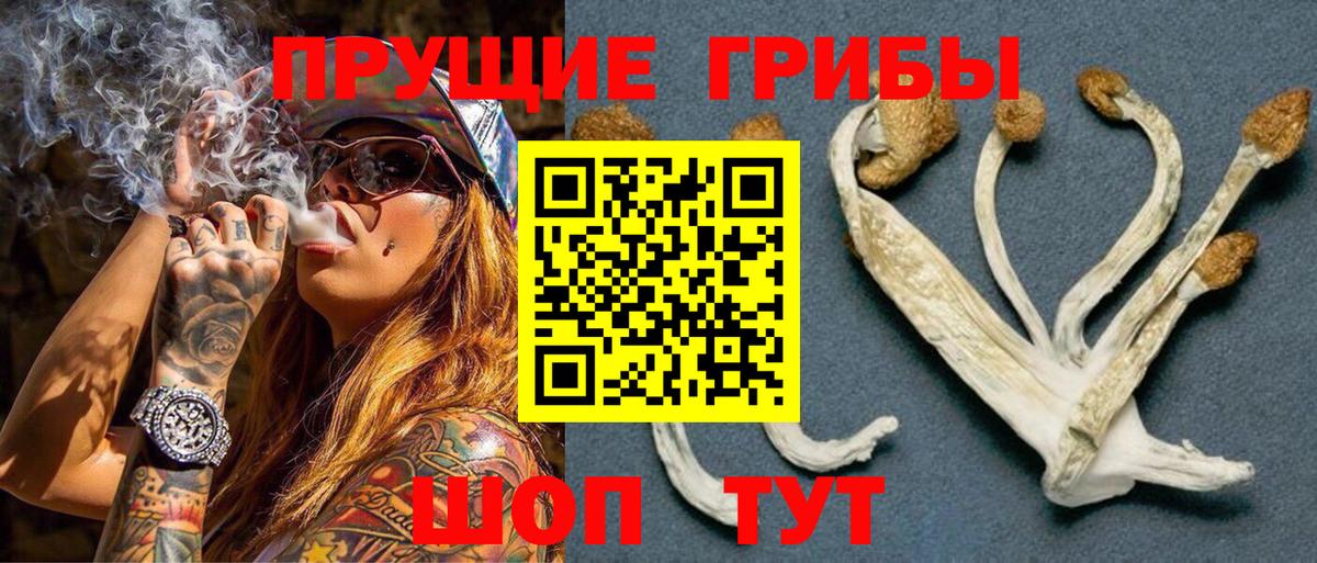 Абинск  Псилоцибиновые грибы GOLDEN TEACHER  Вход с VPN  Псилоцибиновые грибы Magic Shrooms 