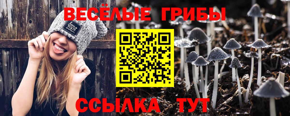 Галлюциногенные грибы мухоморы Абинск